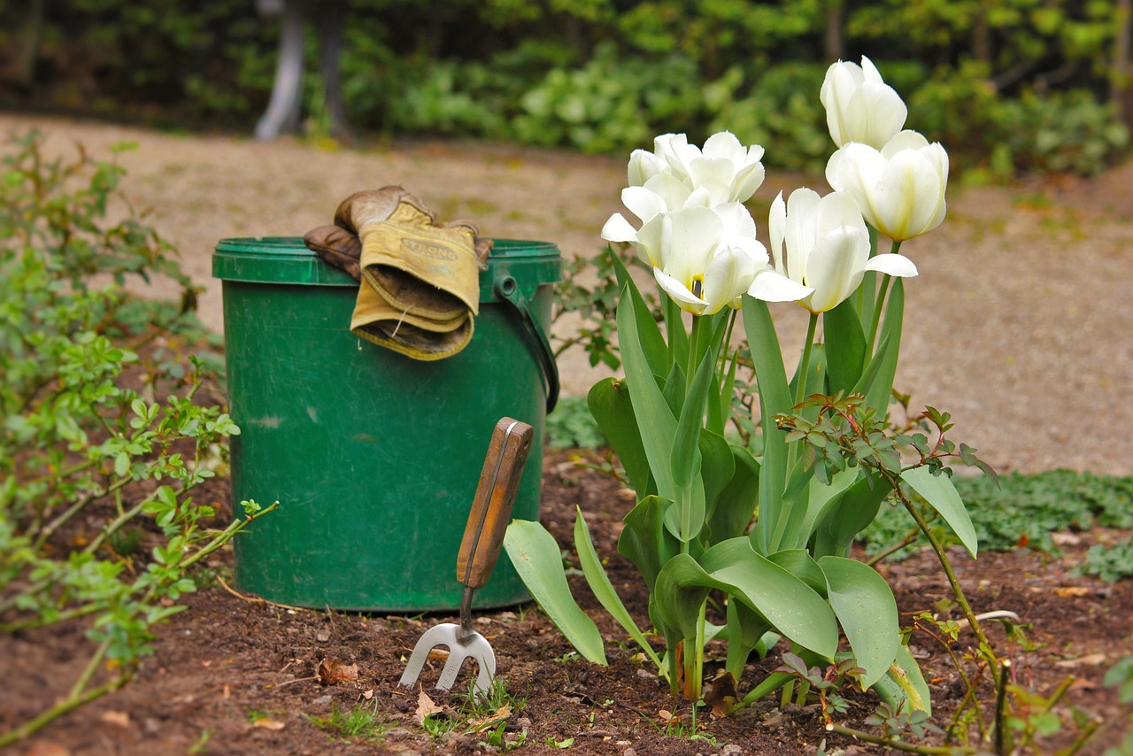 discover garden, gardening, garden tools, bucket, plants, tulips, spring, gardening gloves, nature, gardener, landscaper, park, rose garden, tiergarten